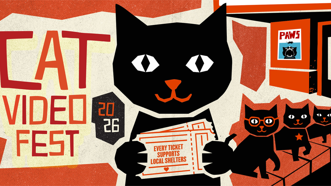CAT VIDEO FEST 2026