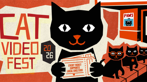 CAT VIDEO FEST 2026